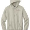 Champion Men's Powerblend Pullover Hooded Sweatshirt - S700